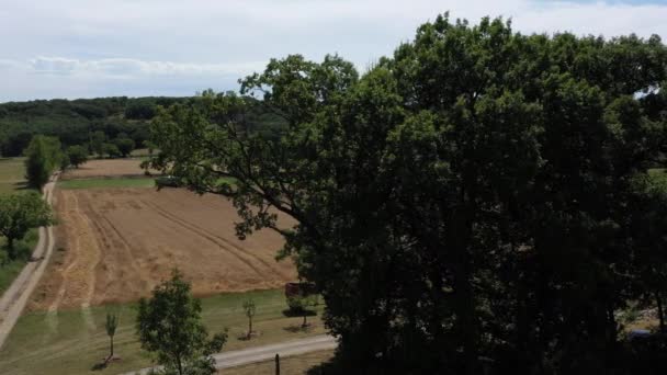 Scoperta Una Mietitrice Campo Grano Video Senza Calibrazione Effetto — Video Stock