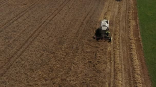 Paso Dron Sobre Una Cosechadora Campo Trigo Con Salida Campo — Vídeo de stock