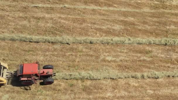 Vista Superior Tractor Haciendo Ballers Redondos Una Pequeña Granja Campo — Vídeo de stock