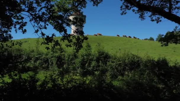 Seguimiento Lateral Disparado Una Torre Agua Con Grupo Vacas Comiendo — Vídeo de stock