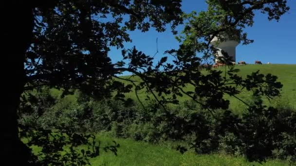 Descoberta Através Das Árvores Grupo Vacas Perto Uma Torre Água — Vídeo de Stock