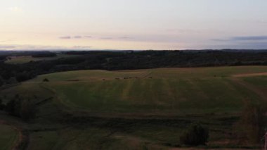 Dağların önündeki bir çayırda yemek yiyen bir grup ineğe hızlı ve geniş açılı bir geri izleme çekimi. Ayarlama veya efekt olmadan video.