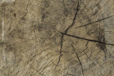 Ahşap ahşap arka plan dilim