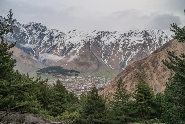 Karla kaplı dağlar Kazbek şafakta, Georgia