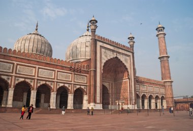 Delhi, Hindistan 6 Ocak 2016. Jama Mescidi Camii, Yeni Delhi, Hindistan.