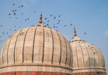 Kubbe Jama Mescidi, Delhi, India