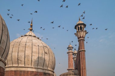 Kubbe Jama Mescidi, Delhi, India