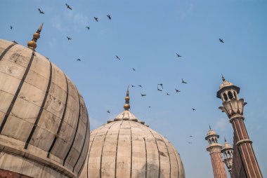 Kubbe Jama Mescidi, Delhi, India