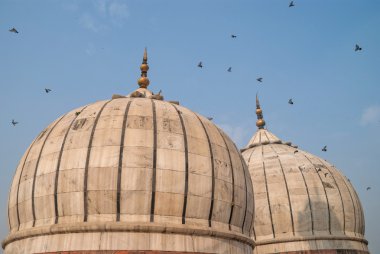 Kubbe Jama Mescidi, Delhi, India