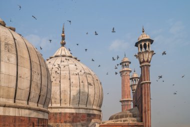 Kubbe Jama Mescidi, Delhi, India