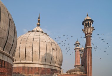 Kubbe Jama Mescidi, Delhi, India