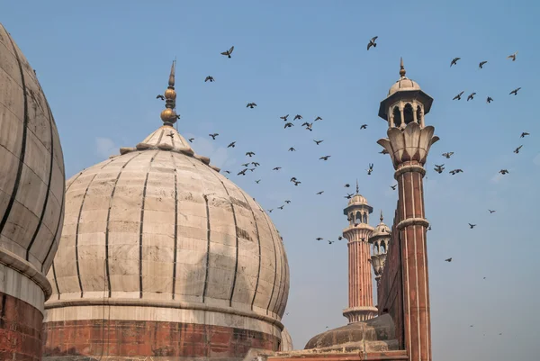 Dôme De Jama Masjid, Delhi, Inde — Photo