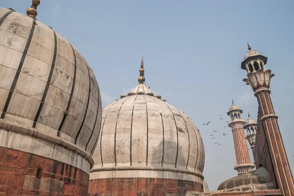 Cúpula de Jama Masjid, Delhi, Índia — Fotografia de Stock