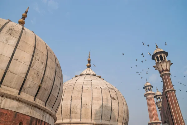 Cúpula de Jama Masjid, Delhi, Índia — Fotografia de Stock