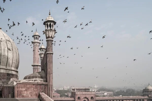 建筑细节的贾马清真寺清真寺，旧德里，印度 — 图库照片