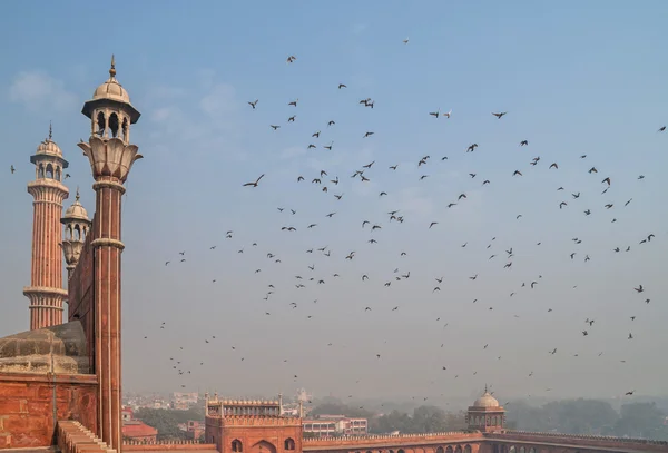 Detalhe arquitetônico da Mesquita Jama Masjid, Old Delhi, Índia — Fotografia de Stock