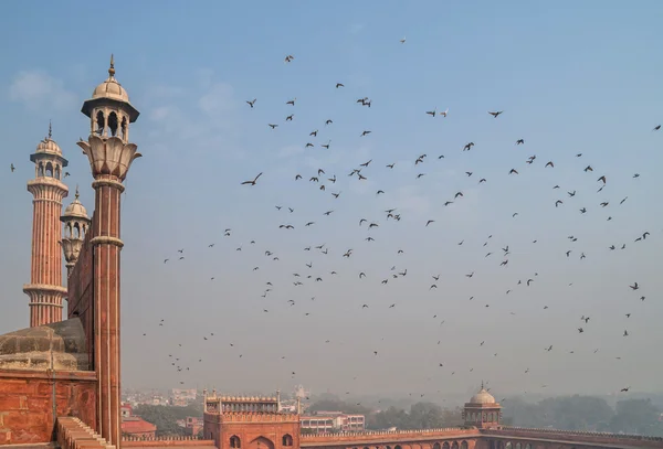 Építészeti részletek jama masjid mecset, old delhi, India — Stock Fotó