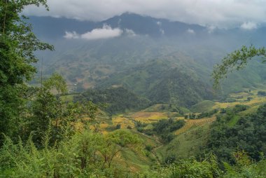 Sapa, Vietnam. Rice fields on the slopes of the mountain panoram
