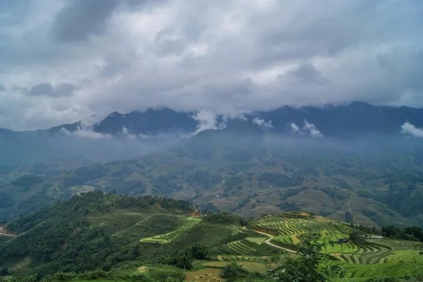 Rizières et montagnes verdoyantes — Photo