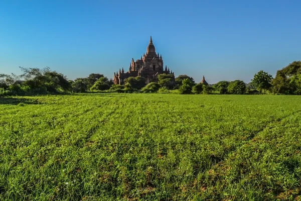 The appearance of the ancient pagoda, and the green fields. Bagan, Myanmar. — Stock Photo, Image