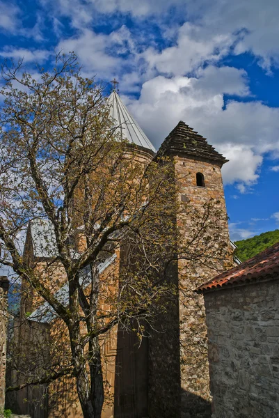 Ananuri Burg. Georgien — Stockfoto