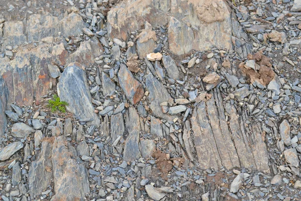 Stone texture closeup background — Stock Photo, Image