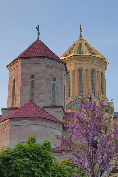 Catedral de la Santísima Trinidad de Tiflis — Foto de Stock