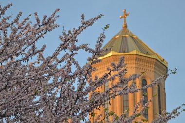 Tiflis 'in Kutsal Üçlü Katedrali