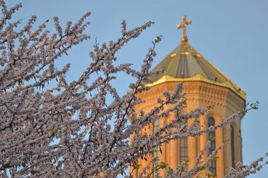 Tiflis 'in Kutsal Üçlü Katedrali