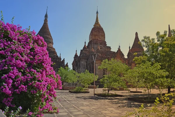 Starý chrám v Bagan, Myanmar, Barma — Stock fotografie