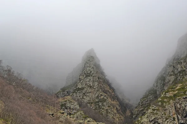 Montanhas na névoa, Geórgia — Fotografia de Stock