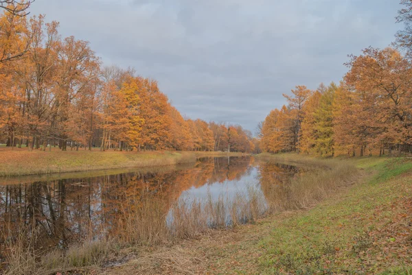 Золотая осень, деревья возле пруда — стоковое фото