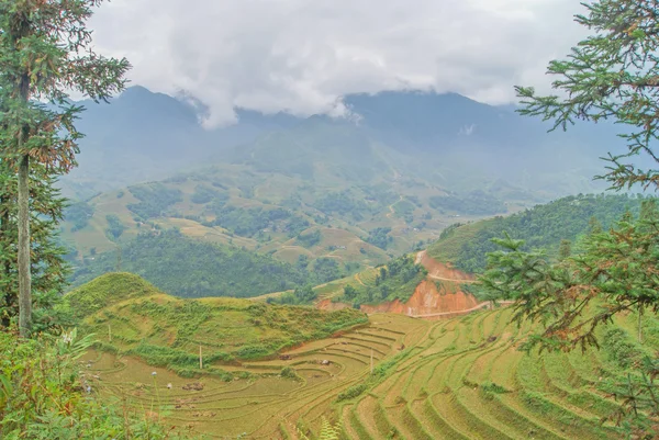 Sapa, vietnam: erstaunlicher Ort in den Bergen von sapa — Stockfoto