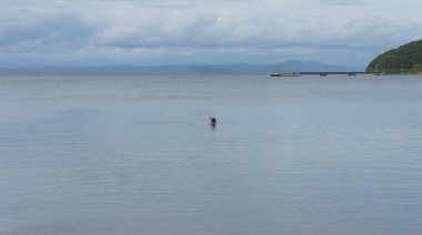 Deniz, bulutlu hava, Bay, gökyüzü