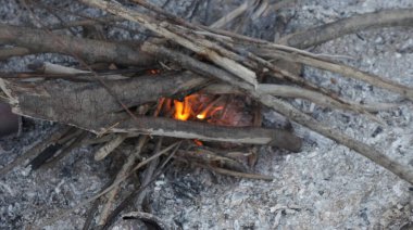 Taiga 'da şenlik ateşi, ateş ısınıyor.