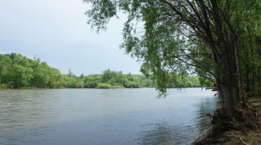 Mountain river, nature, water surface