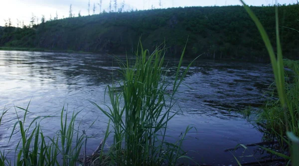 Tarde en el río, crepúsculo en el río — Foto de Stock