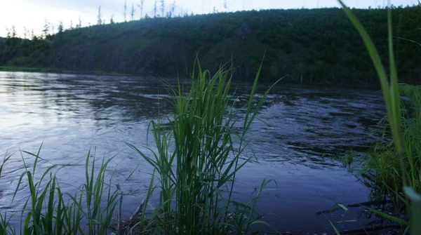 Вечір на річці, сутінки на річці — стокове фото