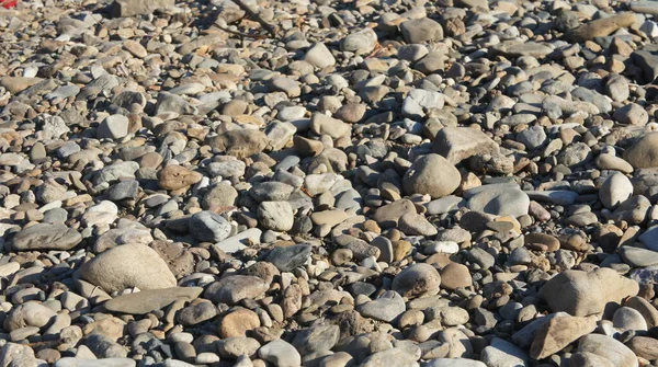 Kamienie rzeczne, tło. tekstura, lato — Zdjęcie stockowe