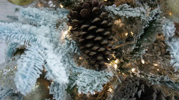 Cono di pino sull'albero di Natale, felice anno nuovo — Foto Stock