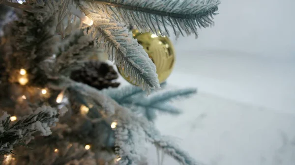 Taşaklı Noel ağacı, mutlu yıllar.