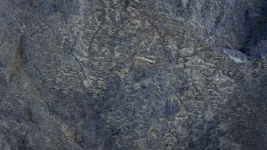 Büyük taş fotoğraf, yakın plan, taş zemin