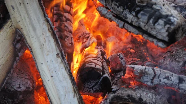 Sıcak kömür, ormanda ateş, ateşin fotoğrafı.