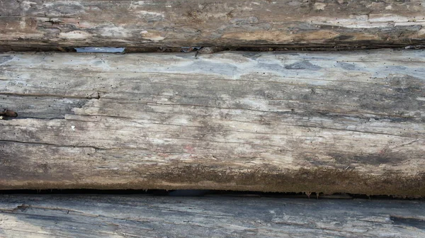 De achtergrond is een oude muur van boomstammen, verduisterd hout. — Stockfoto