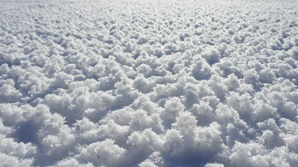 Paysage d'hiver, champ neigeux fond blanc — Photo