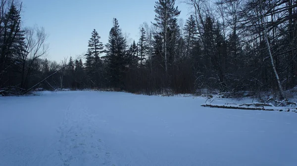 Zmrazená řeka, zimní les na březích zamrzlé řeky, večer — Stock fotografie