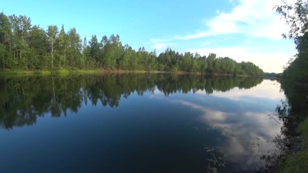 Релаксація на березі лісового озера, тиша на вечірньому озері — стокове відео