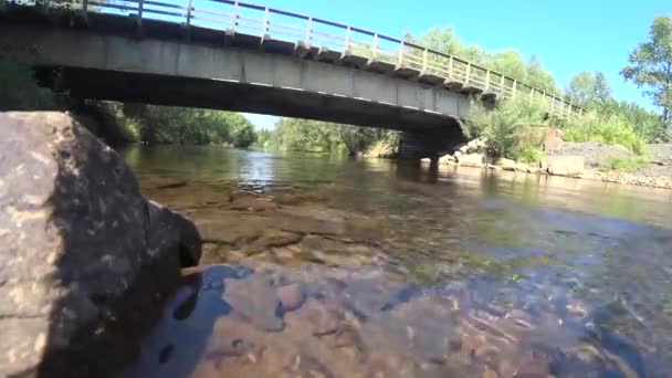 Rybaření na horské řece, ulovený losos na točení, lenok ryby — Stock video
