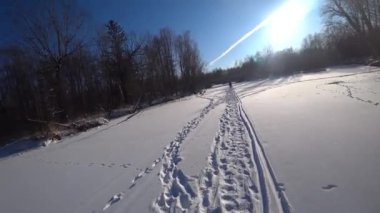 Donmuş bir nehrin yatağında yürü, kış ormanı.