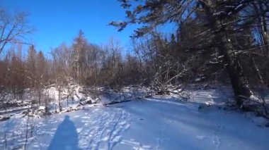 Kış ormanlarında yürüyüş, kış doğasının videosu.